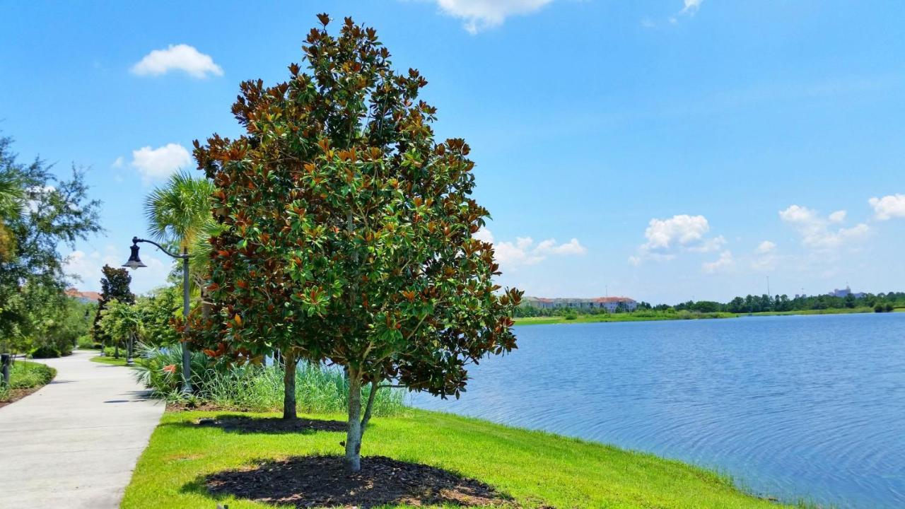 4814 Cayview Avenue #401 Apartamento Orlando Exterior foto